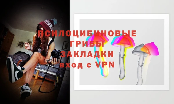 сатива Лагань
