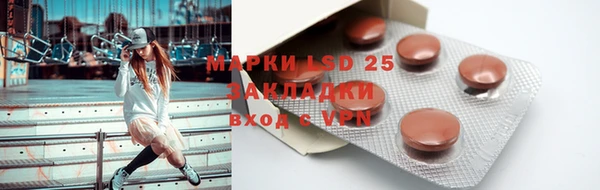ПСИЛОЦИБИНОВЫЕ ГРИБЫ Лабытнанги