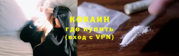сатива Кукмор
