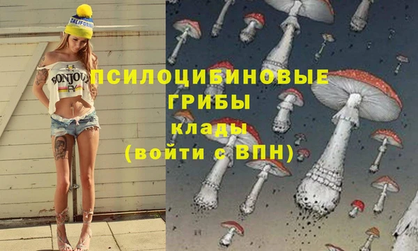 мяу мяу мука Куйбышев