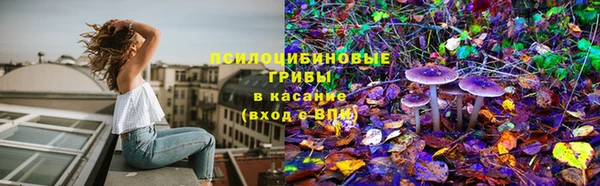 сатива Кукмор