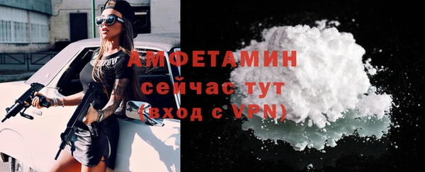 сатива Кукмор