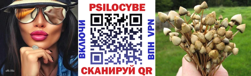 Псилоцибиновые грибы прущие грибы Руза