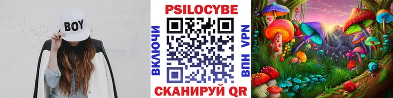 цена   Руза  mega вход  Галлюциногенные грибы Magic Shrooms 